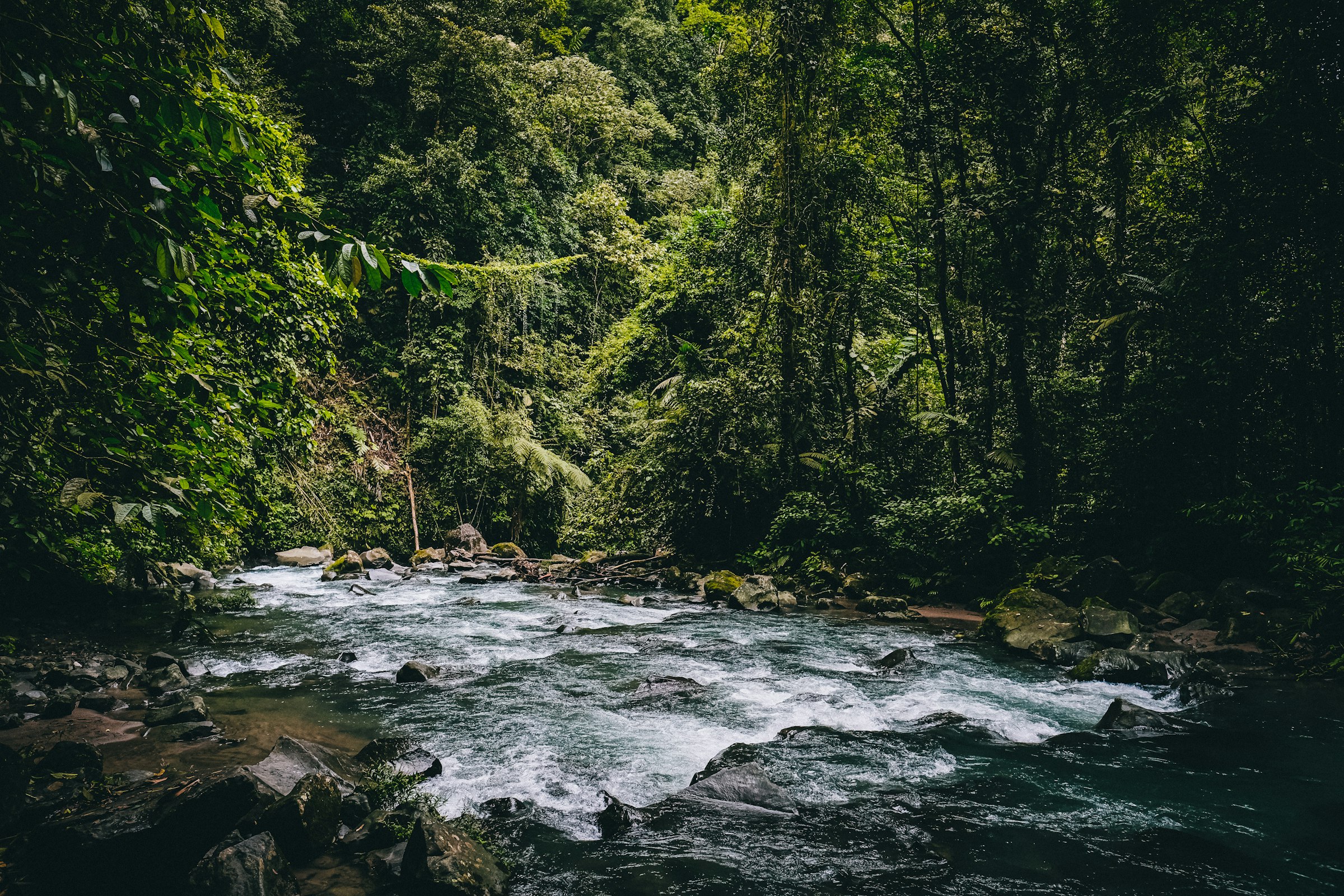 Derecho Ambiental